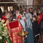 mironos2009