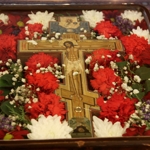 vozdv22